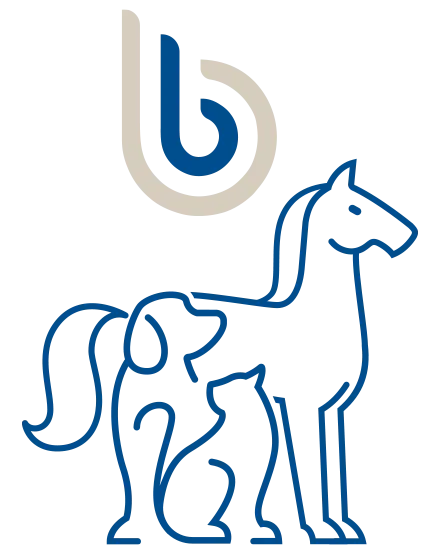 Dog, cat and horse